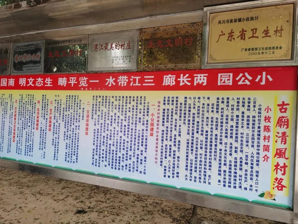 吴川一老先生归乡游玩，抒发家乡社会主义新农村建设有感