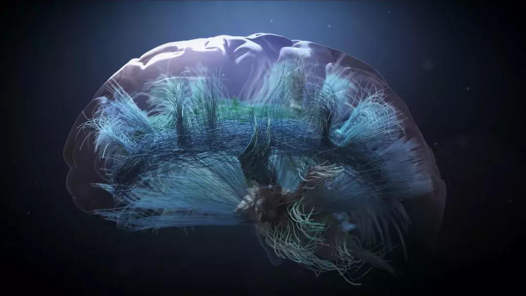 《手术两百年》国内第一部全景展现人类与疾病抗争的科学纪录片