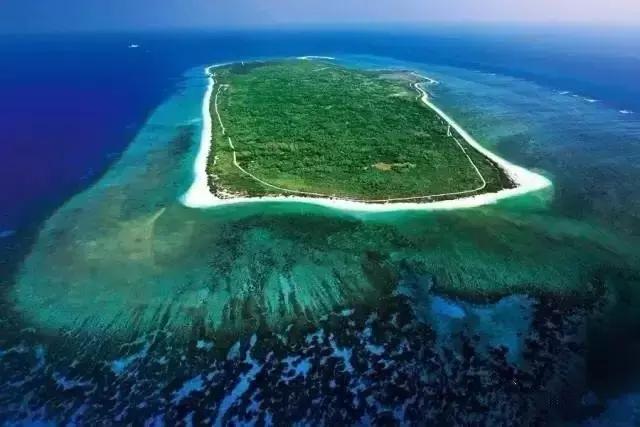 杨颖黎族海岛素颜照,海岛素颜照