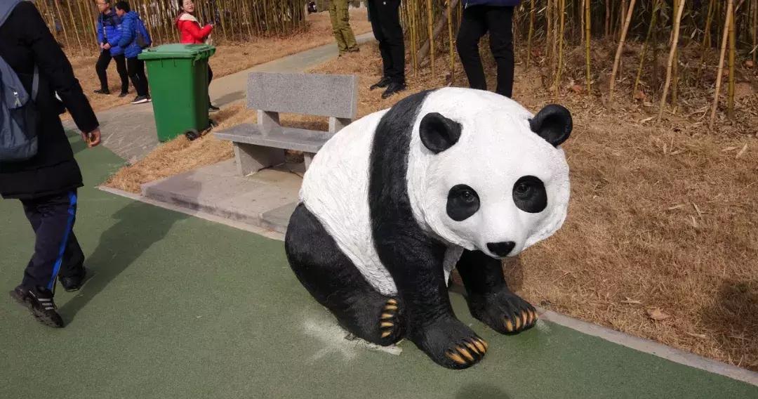 活动锦集|你在点金的每一个点滴，都值得被记住