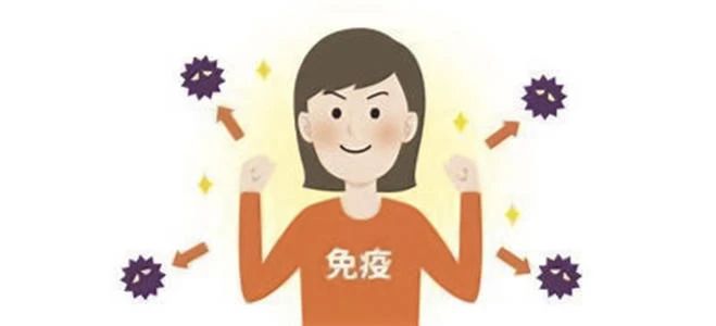 桑树全身都是宝具体有哪些作用,桑树身上的宝是什么