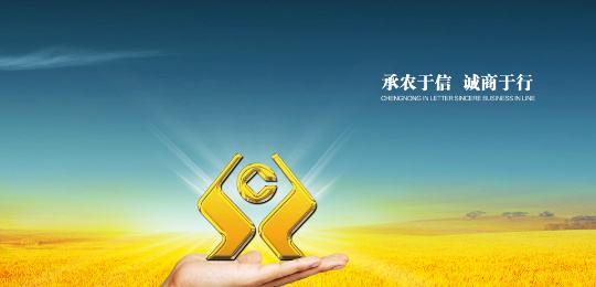 中国农村信用社银行排名,农村信用社在银行排名