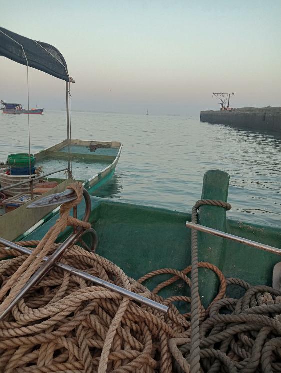 跟老船长出海到神秘钓点，渔获狂拉不断，卖了一千多块钱