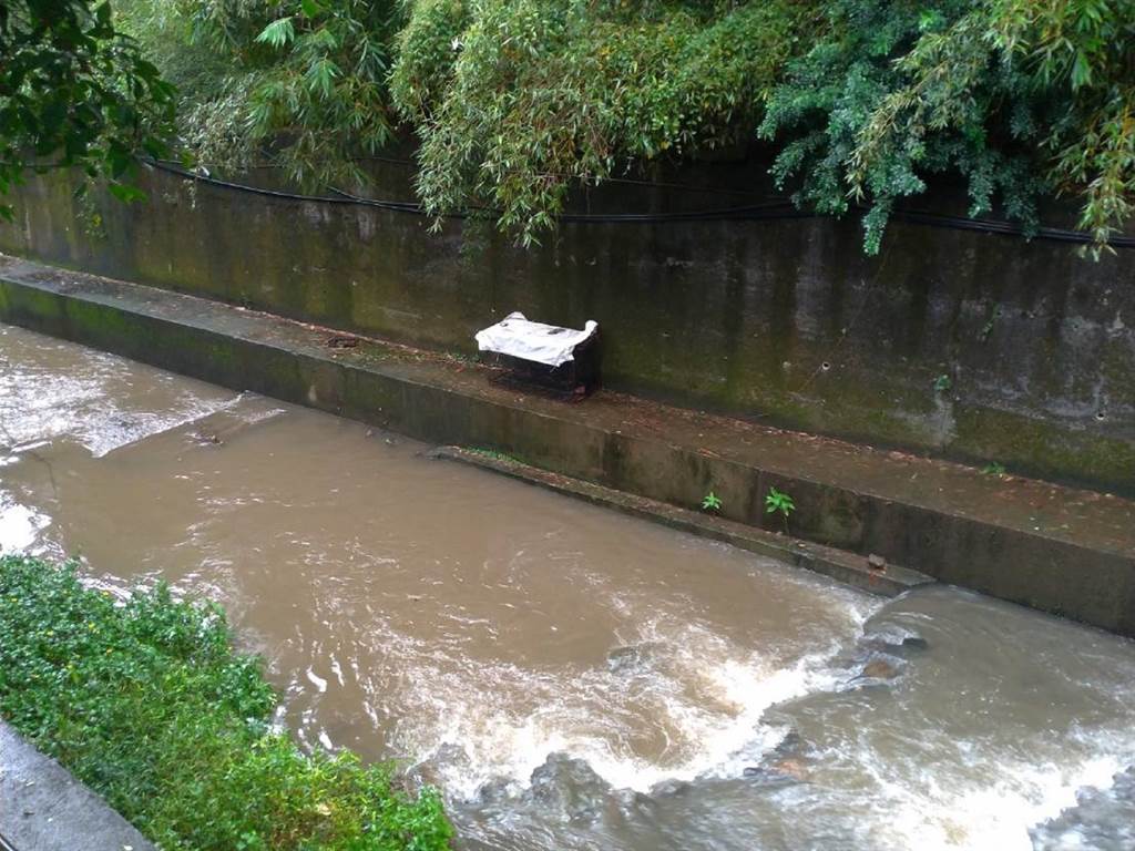 狗狗掉进臭水沟了如何救上来,有爱流浪动物救助