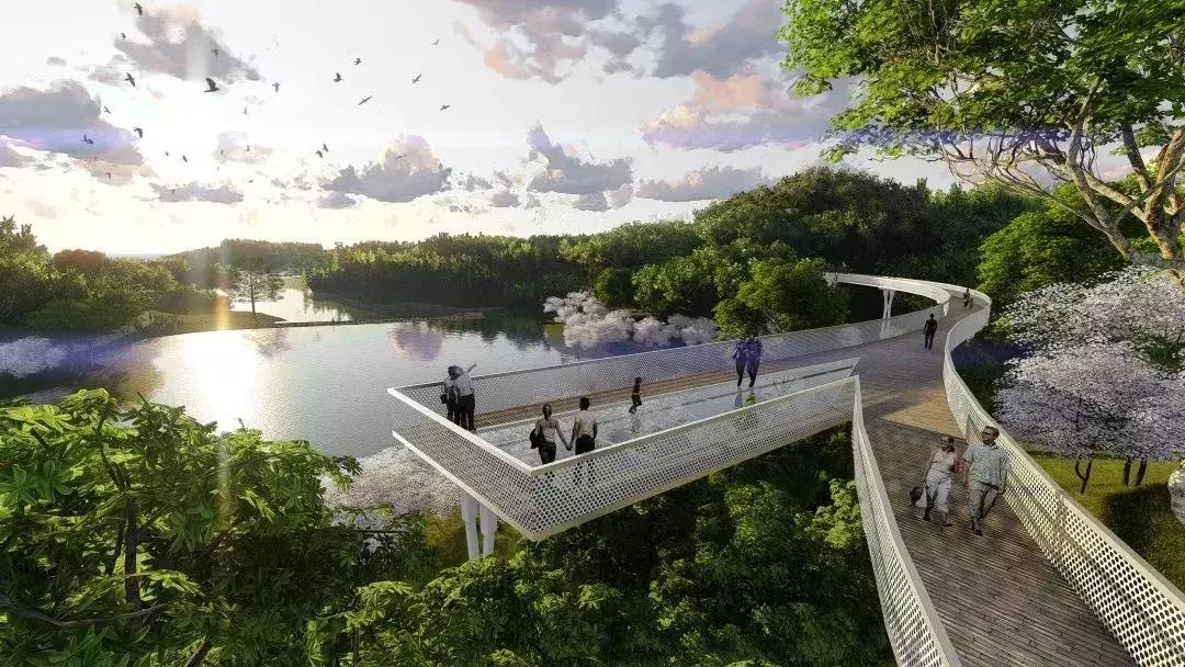 双流夜景必打卡之地,成都双流免费打卡景点