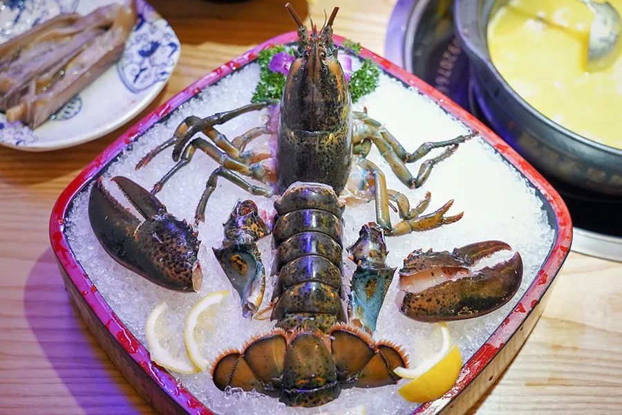 港式花胶鸡打边炉正宗做法,简易龙虾汤泡饭