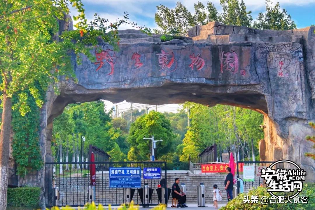 2020年,在这50个地方遇见不一样的合肥