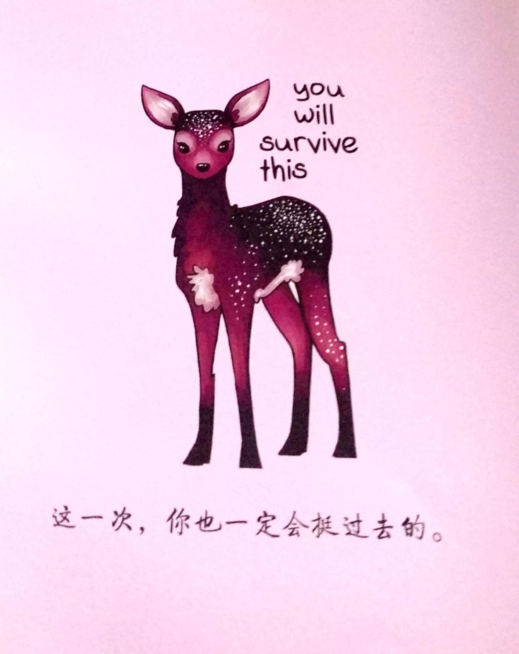 柔软的刺猬健身,柔软的刺猬英文朗读