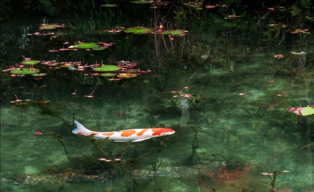 托福口语考试中的高频短语精选,雅思托福口语话题答题技巧