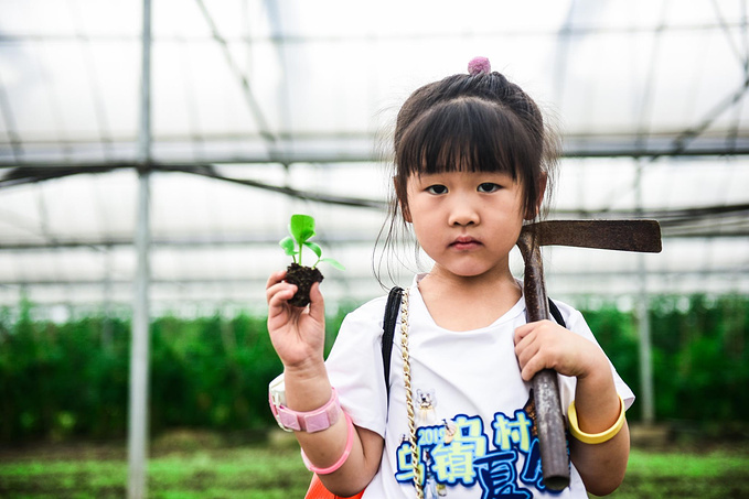 乌村暑期夏令营，吃喝玩乐在这里