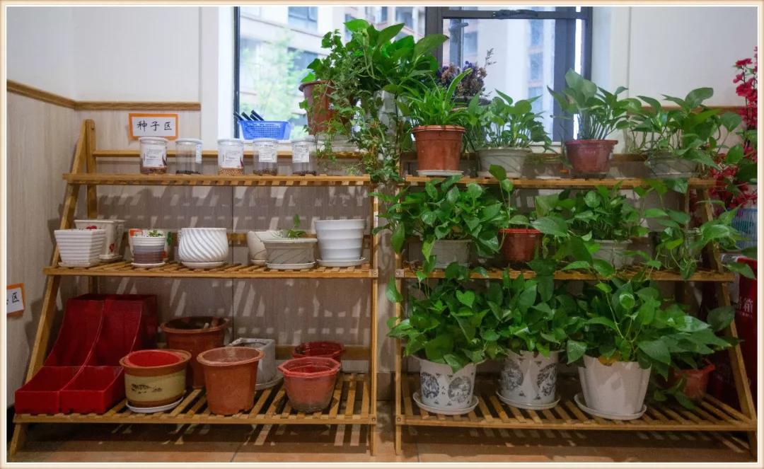 大班新学期环境创设实施方案,大大的小小的主题活动及环境创设