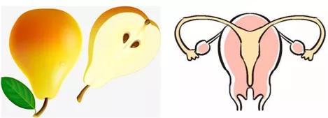 关于子宫最全的知识在这里,关于卫生巾的你了解多少