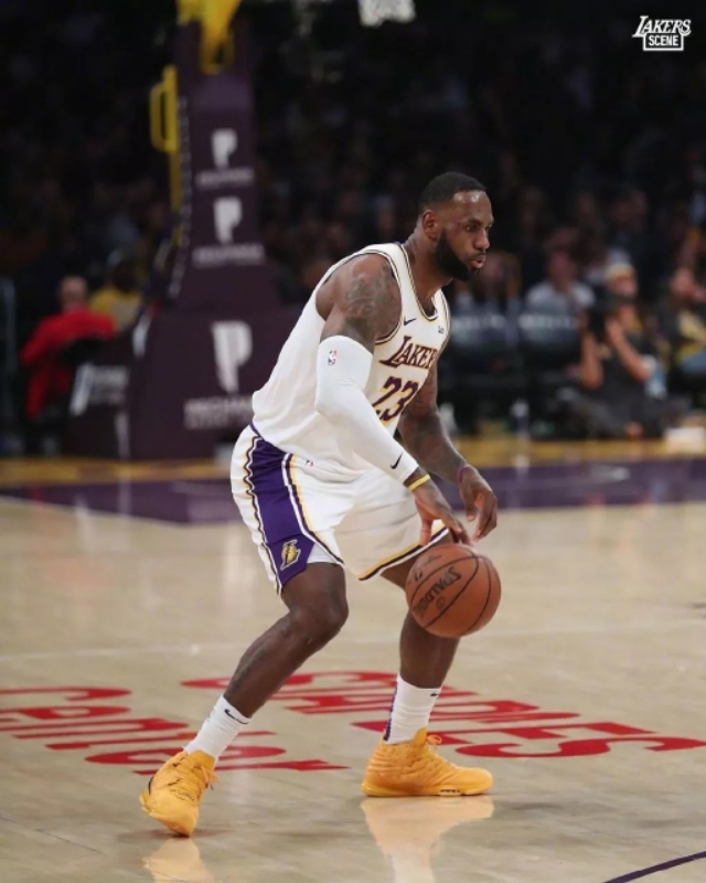 戴维斯身高臂展拳击,湖人戴维斯和霍华德