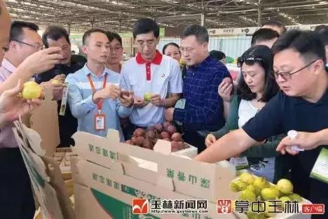 广西有哪些淘宝村,广西五个淘宝村