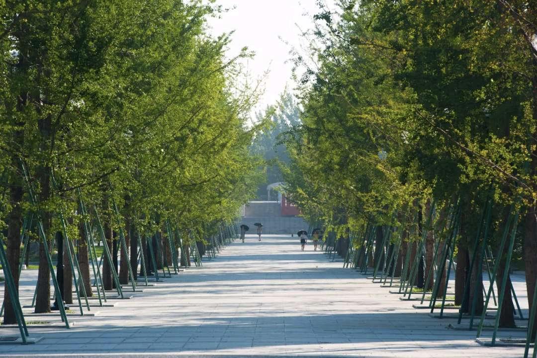 四川具有博士授予权的大学,成都大学有没有博士授予点