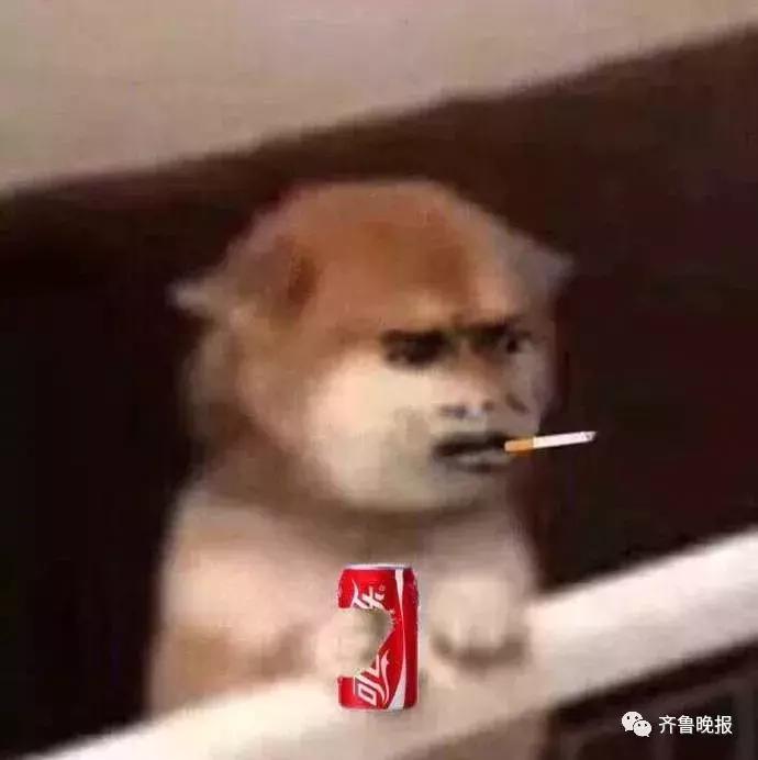 代购税务处罚标准,代购300万被判几年