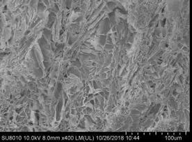 解决“被人类喂瘦了的土地”问题,治胃病更要治未病!