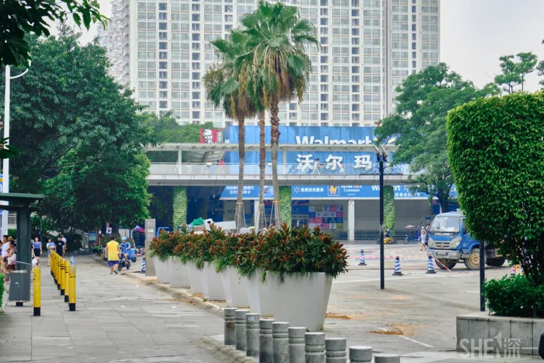 深圳蛇口前世今生,深圳蛇口有怎样的辉煌历史