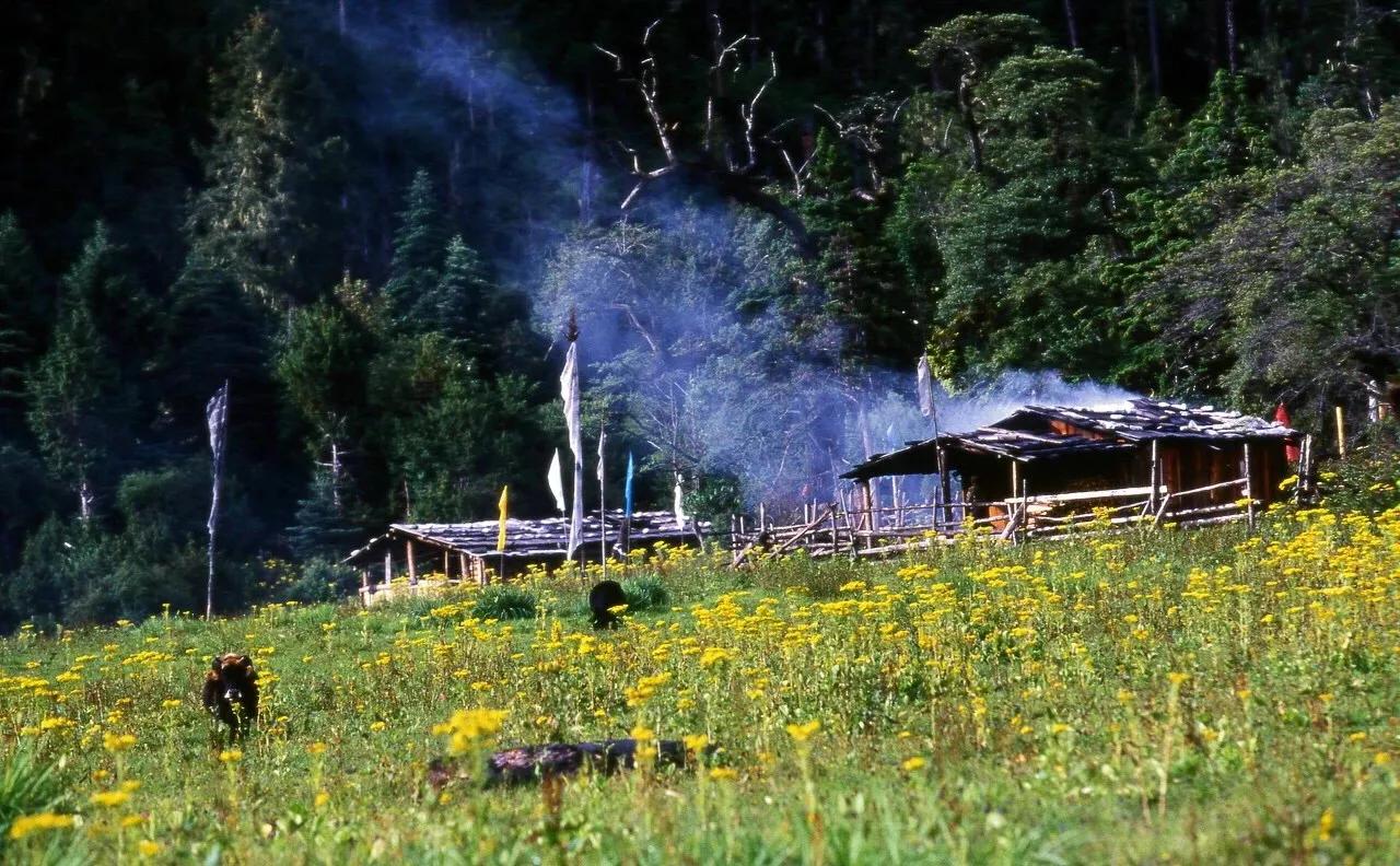中国唯一不收费的高速公路,中国旅游风景最好的四条高速