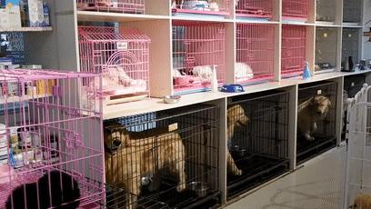 郑州各大批发市场一览表,河南郑州万邦国际农产品批发市场