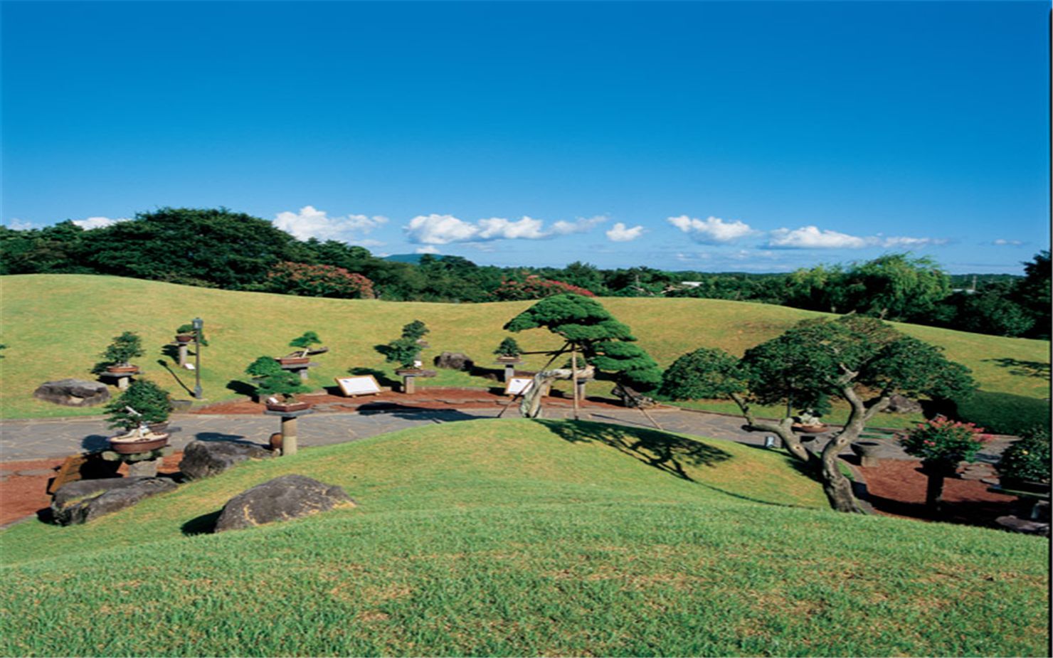 打卡济州岛西部热门景点：绿茶博物馆、GD咖啡厅、山茶花之丘……