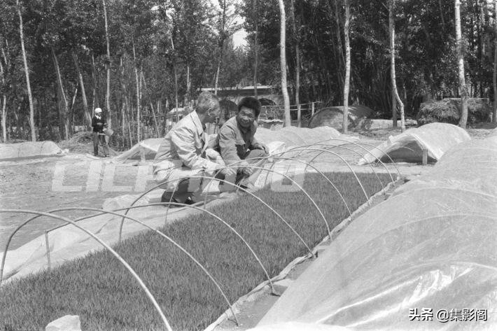 榆林市八十年代 (榆林市制革厂老照片)