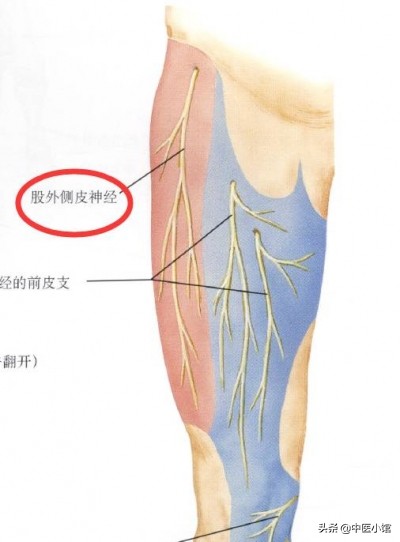 大腿前侧麻木，试试这个方法，干货来了