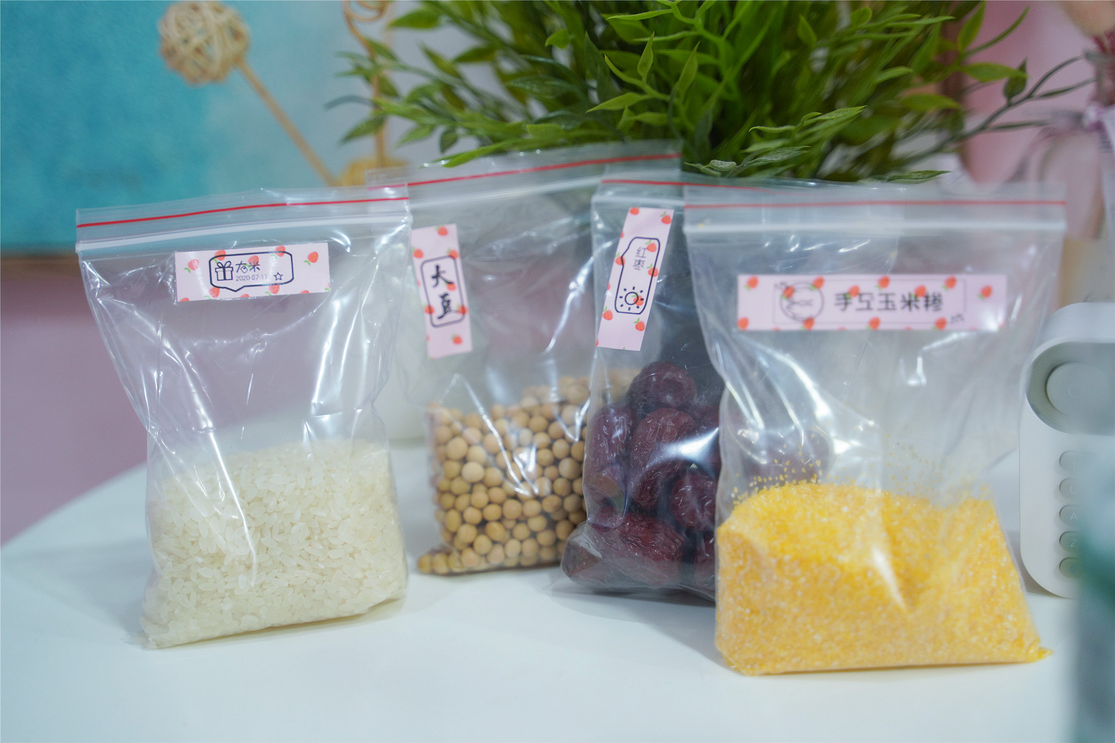 拆解海鸟标签打印机,海鸟贴纸打印机怎么使用