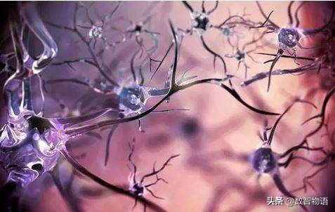 人工智能、神经网络、深度学习、机器学习傻傻分不清？