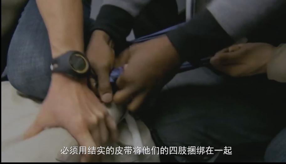 如果飞机被劫持战斗机怎么救援,当遭遇飞机事故该如何自救