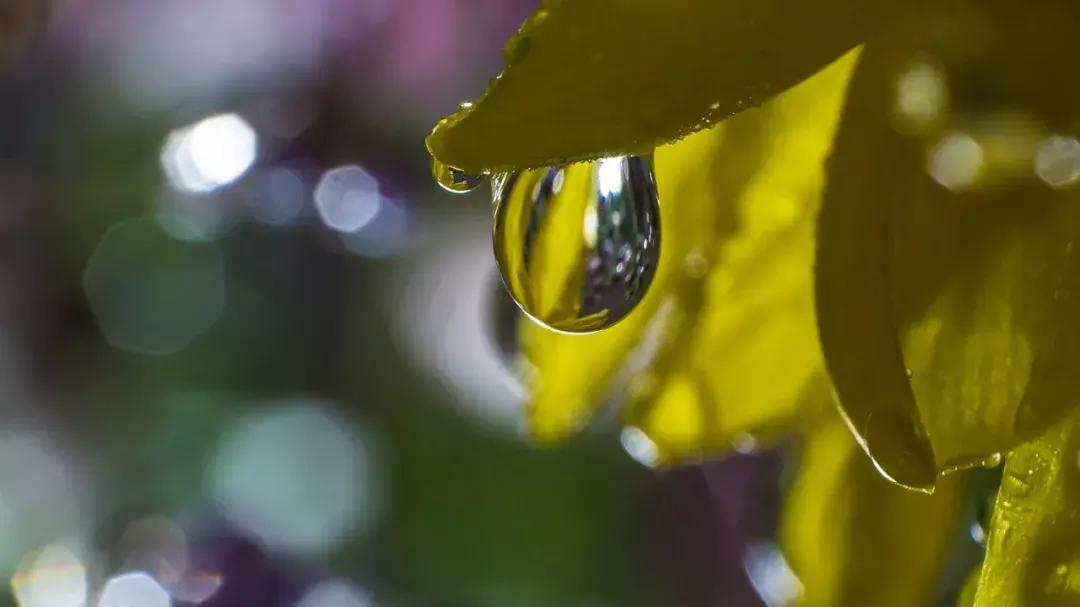 长焦镜头拍摄升起效果,怎么把镜头突然反过来拍自己