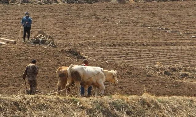 种地省油省米的秘诀,种地秘诀