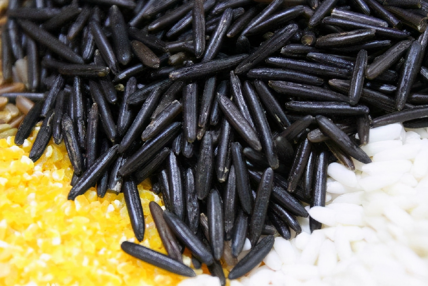 中国人种植水稻历史,中国人种植蔬菜