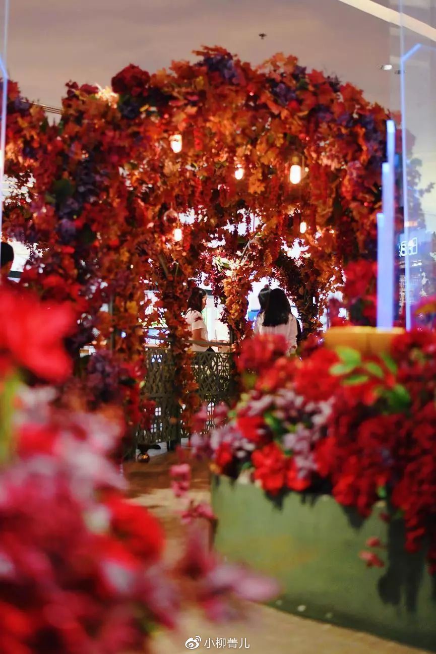 说走就走曼谷这样逛吃玩