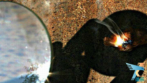 分享自己有效学习方法,分享学习的方法100字