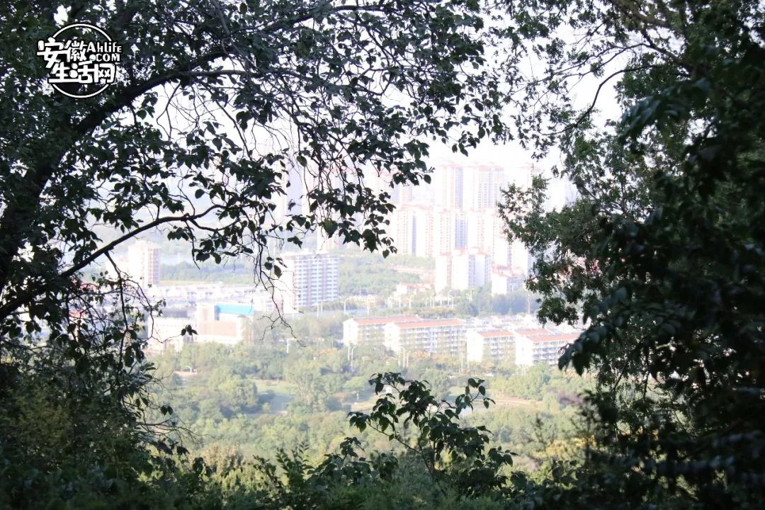 大蜀山,大蜀山爱情故事