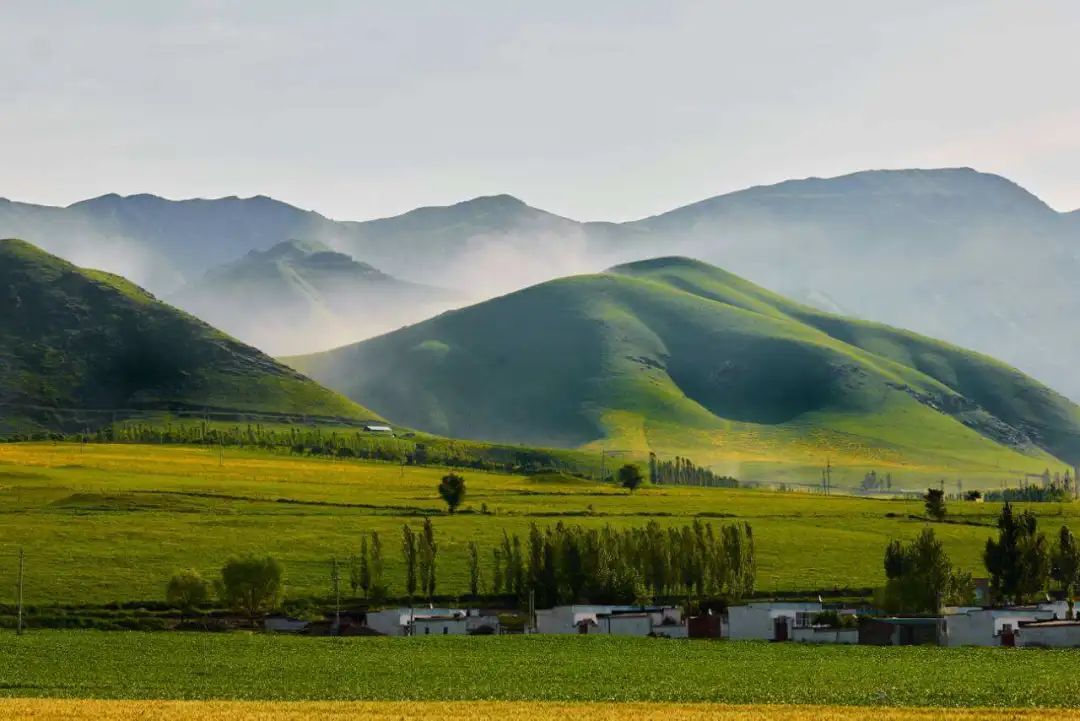 5元一斤买西梅，再送一颗果树，还能免费旅游！有这么好的事？