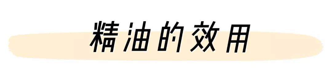 精油入门必备护肤品,平价单方精油推荐面部