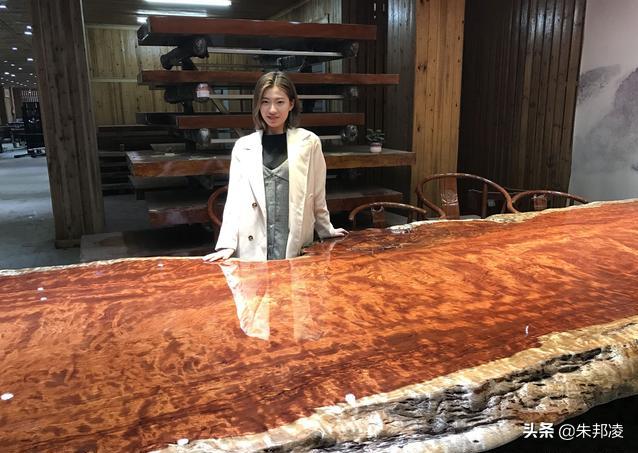 “巴花大板”取代红木成收藏新宠？原木来自3000年“非洲树王”