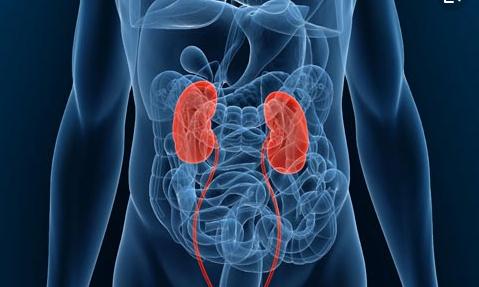 汗蒸对肾脏的损害,汗蒸疗法的危害