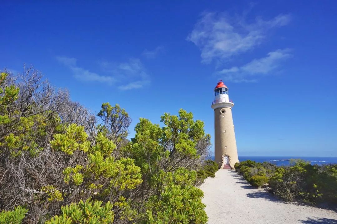 赴澳洲需要买的东西,去澳洲探亲要提供无犯罪记录吗