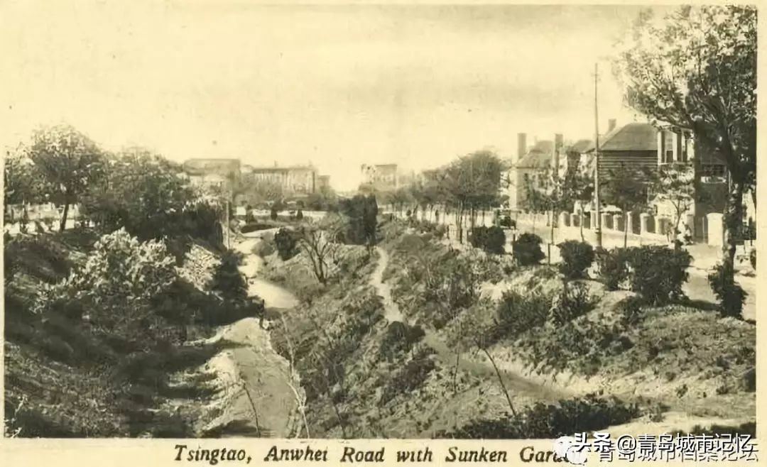 青岛的几个海洋公园哪个好,青岛世博园八大园都是什么园