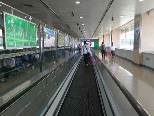 哈尔滨市内环境,哈尔滨一年四季的现状