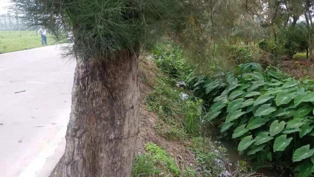 斗门老司机开宝马失误跌落鱼塘！河水灌入车内危在旦夕！急中生智“神”操作脱险！