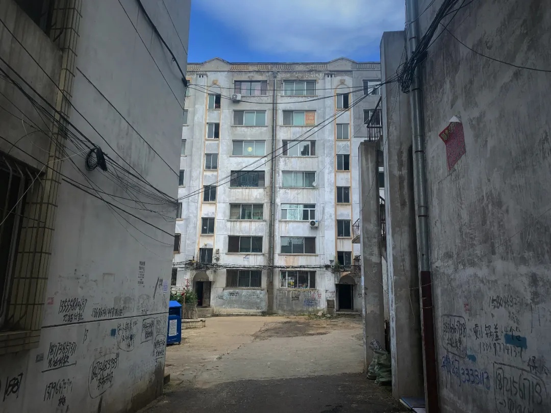 在鹤岗避世的人,在鹤岗有人去吗