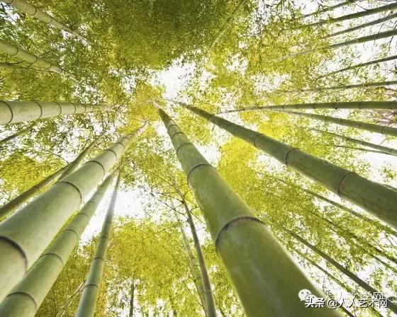 人人图文,人人贷最新事件进展