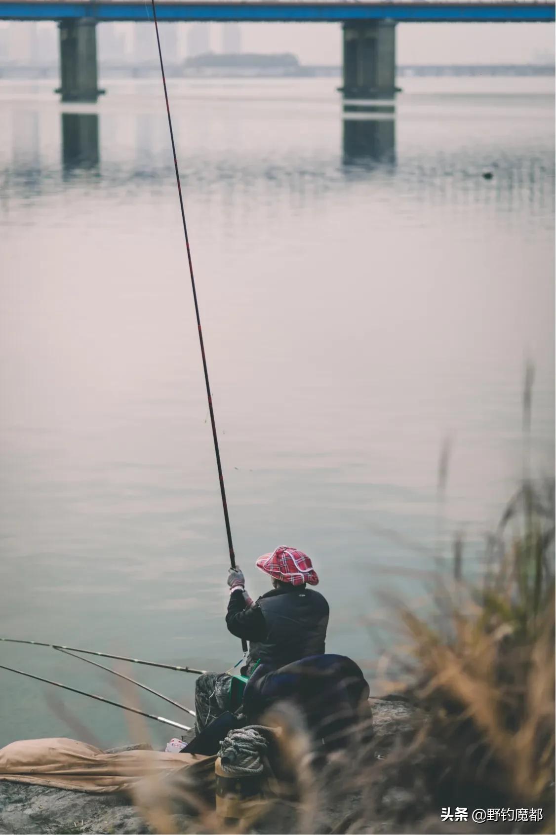 新手钓竿推荐牌子有哪些,新手钓竿选什么品牌的