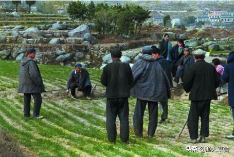 一公顷等于多少英亩多少亩,一英亩等于多少亩