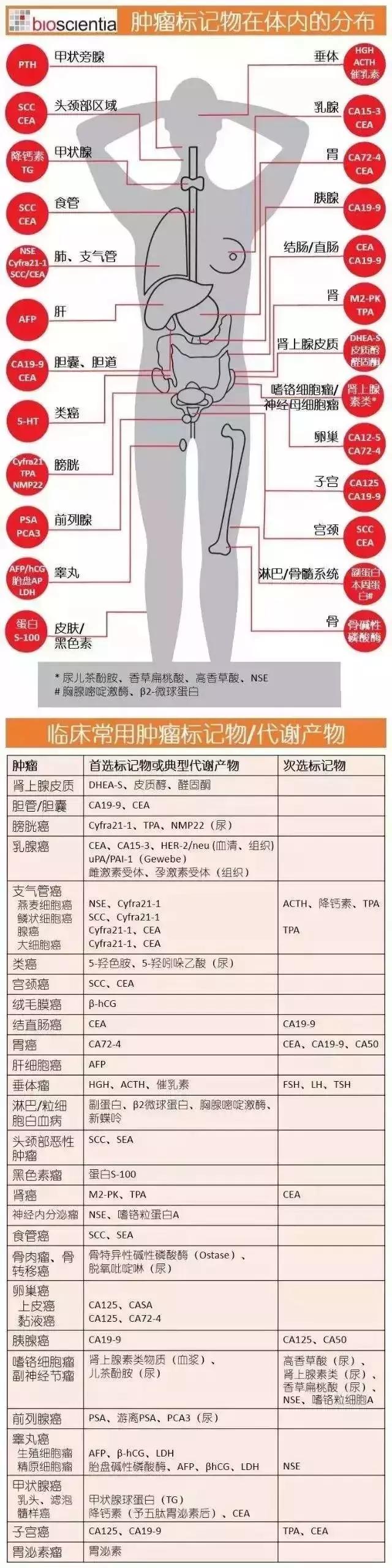 泌尿系统肿瘤标志物有哪些,肿瘤标志物199代表什么