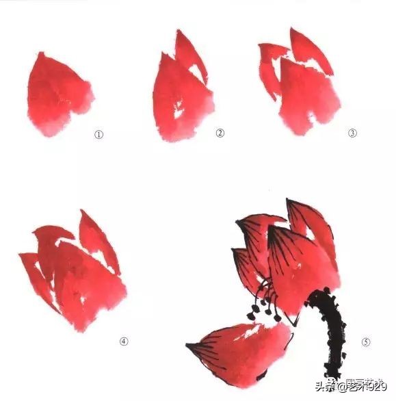 荷花的画法和步骤图解,最简单的荷花画法一学就会